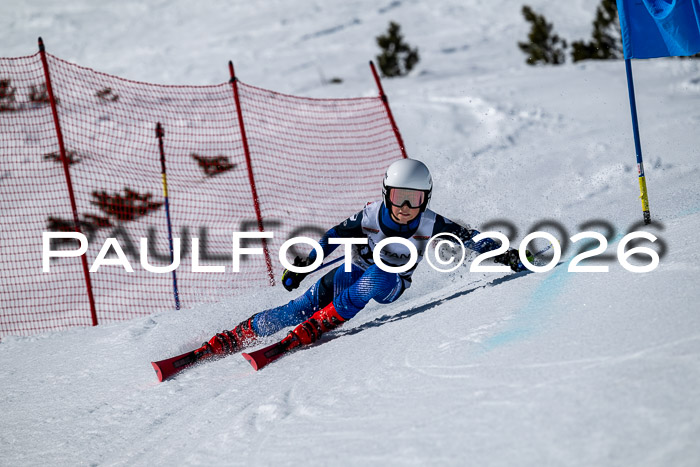 DSV - Actanol Deutscher Schülercup U12 Finale RSX 2026