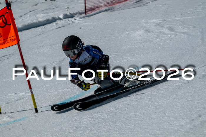 DSV - Actanol Deutscher Schülercup U12 Finale RSX 2026