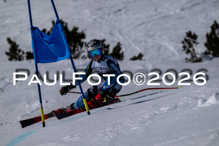 DSV - Actanol Deutscher Schülercup U12 Finale RSX 2026