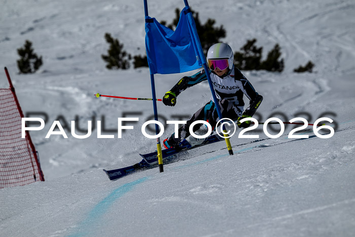 DSV - Actanol Deutscher Schülercup U12 Finale RSX 2026