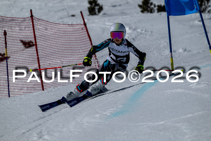 DSV - Actanol Deutscher Schülercup U12 Finale RSX 2026