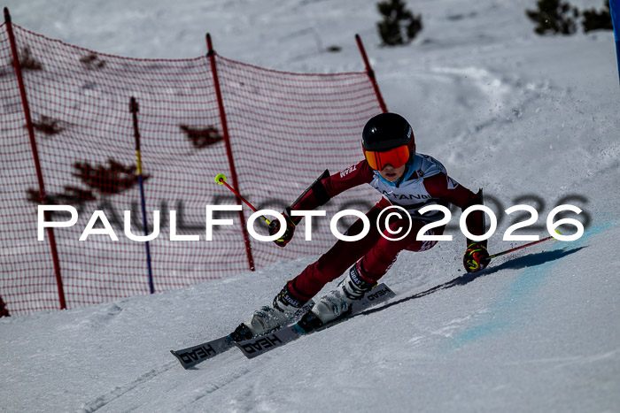 DSV - Actanol Deutscher Schülercup U12 Finale RSX 2026