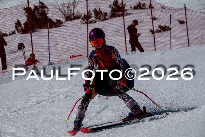 DSV - Actanol Deutscher Schülercup U12 Finale RSX 2026