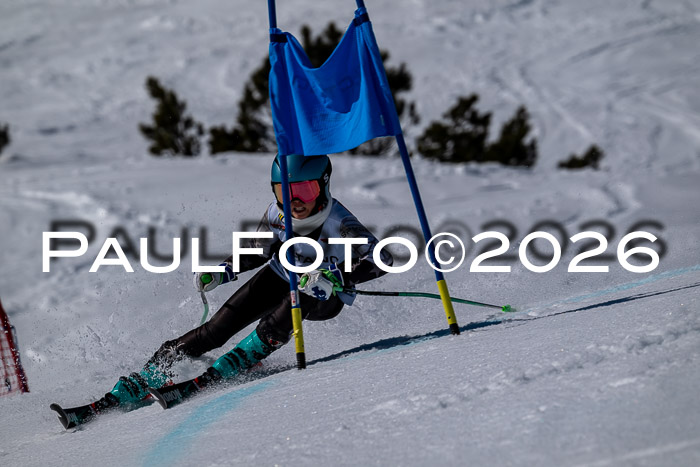 DSV - Actanol Deutscher Schülercup U12 Finale RSX 2026