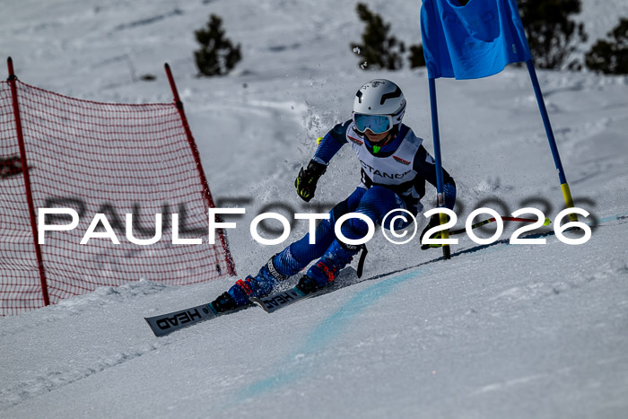 DSV - Actanol Deutscher Schülercup U12 Finale RSX 2026