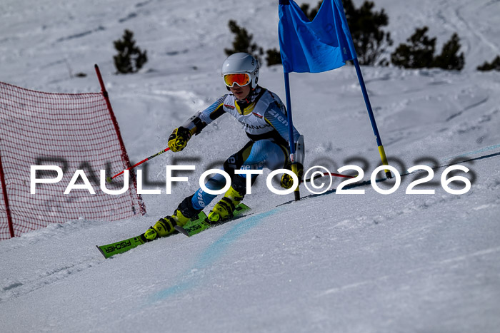 DSV - Actanol Deutscher Schülercup U12 Finale RSX 2026