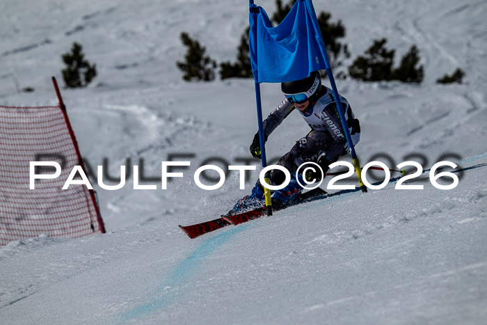 DSV - Actanol Deutscher Schülercup U12 Finale RSX 2026