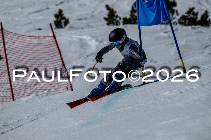 DSV - Actanol Deutscher Schülercup U12 Finale RSX 2026