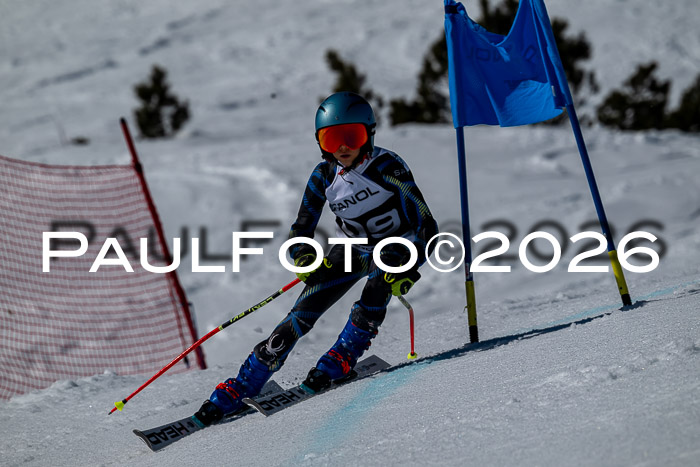 DSV - Actanol Deutscher Schülercup U12 Finale RSX 2026