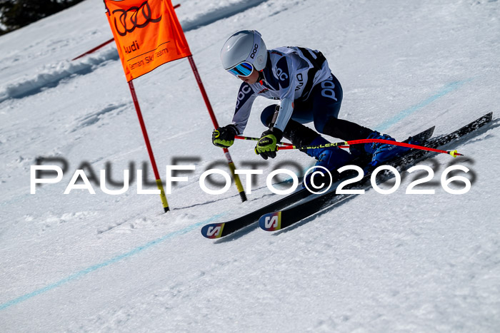 DSV - Actanol Deutscher Schülercup U12 Finale RSX 2026