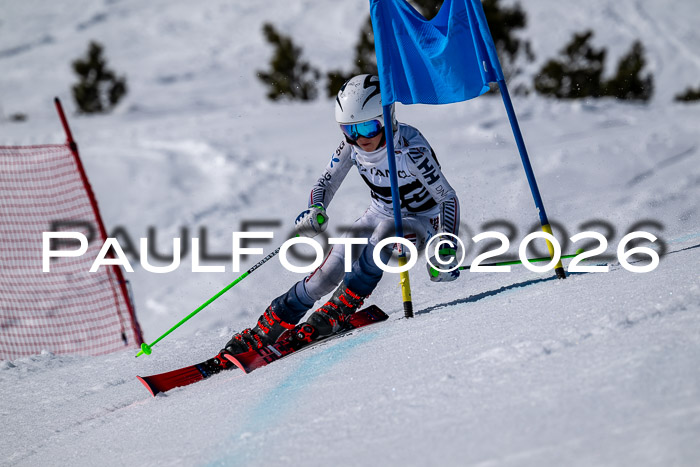 DSV - Actanol Deutscher Schülercup U12 Finale RSX 2026