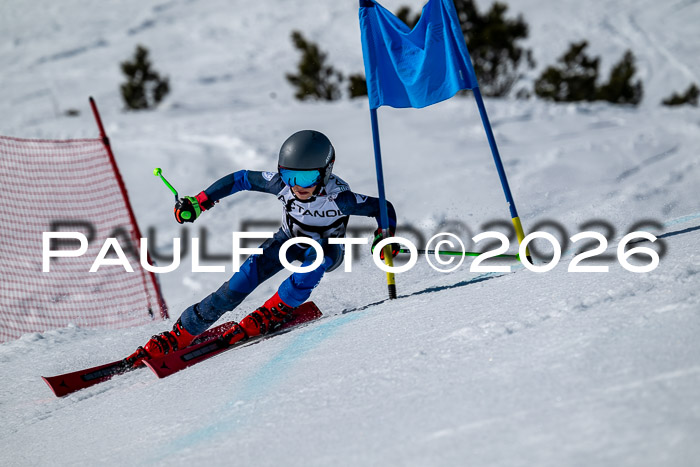 DSV - Actanol Deutscher Schülercup U12 Finale RSX 2026