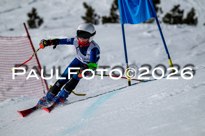 DSV - Actanol Deutscher Schülercup U12 Finale RSX 2026