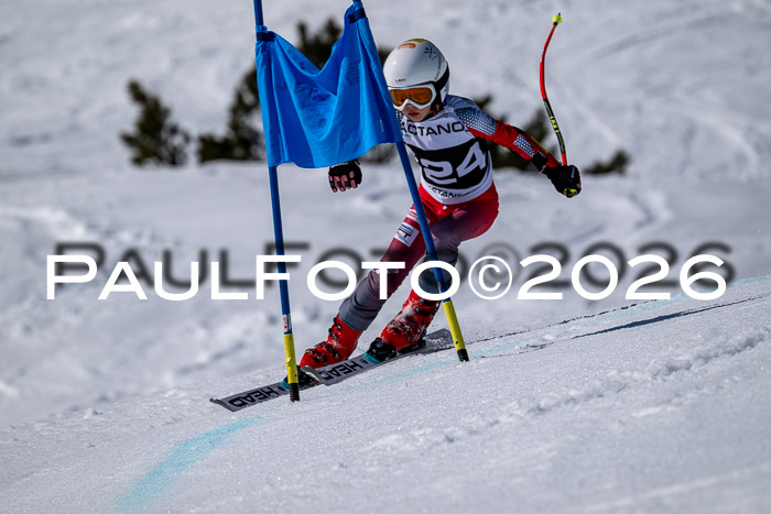 DSV - Actanol Deutscher Schülercup U12 Finale RSX 2026