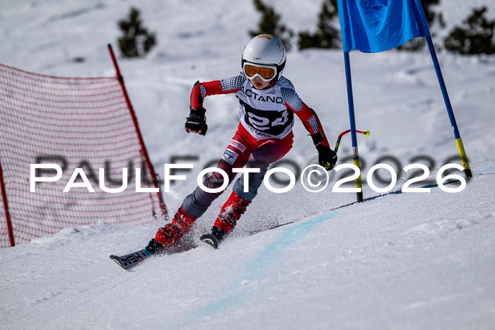 DSV - Actanol Deutscher Schülercup U12 Finale RSX 2026