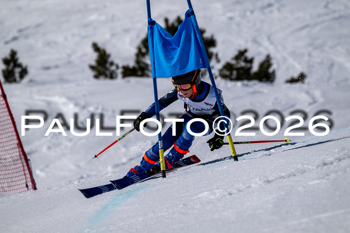 DSV - Actanol Deutscher Schülercup U12 Finale RSX 2026