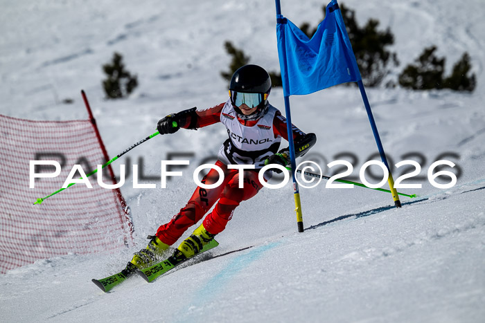 DSV - Actanol Deutscher Schülercup U12 Finale RSX 2026