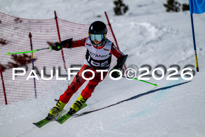 DSV - Actanol Deutscher Schülercup U12 Finale RSX 2026