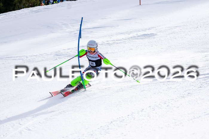 DSV - Actanol Deutscher Schülercup U12 Finale SLX 2026