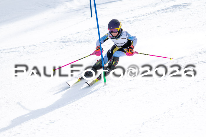 DSV - Actanol Deutscher Schülercup U12 Finale SLX 2026