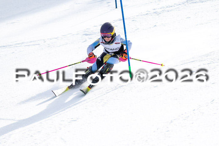 DSV - Actanol Deutscher Schülercup U12 Finale SLX 2026