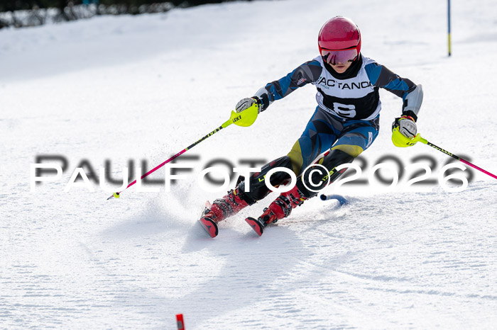 DSV - Actanol Deutscher Schülercup U12 Finale SLX 2026