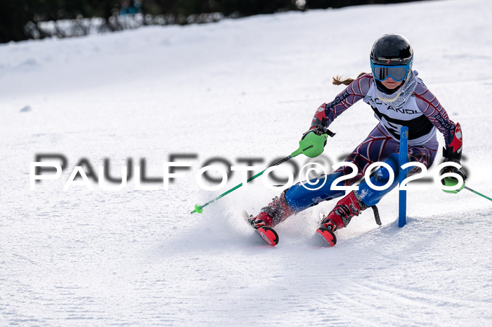 DSV - Actanol Deutscher Schülercup U12 Finale SLX 2026