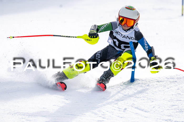 DSV - Actanol Deutscher Schülercup U12 Finale SLX 2026