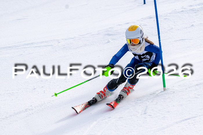 DSV - Actanol Deutscher Schülercup U12 Finale SLX 2026