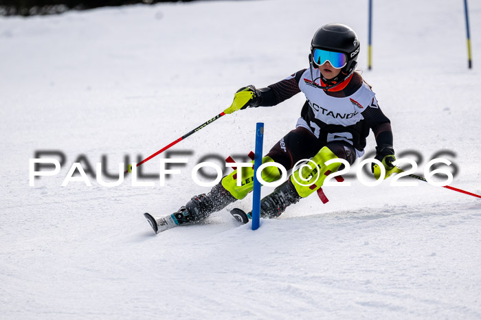 DSV - Actanol Deutscher Schülercup U12 Finale SLX 2026