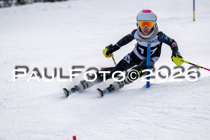 DSV - Actanol Deutscher Schülercup U12 Finale SLX 2026