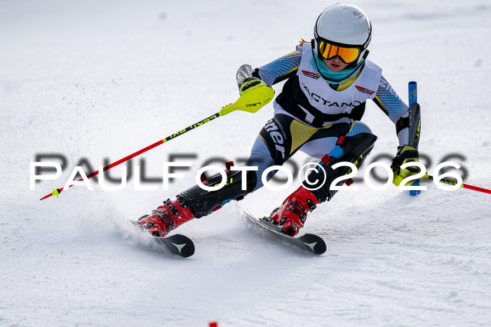 DSV - Actanol Deutscher Schülercup U12 Finale SLX 2026