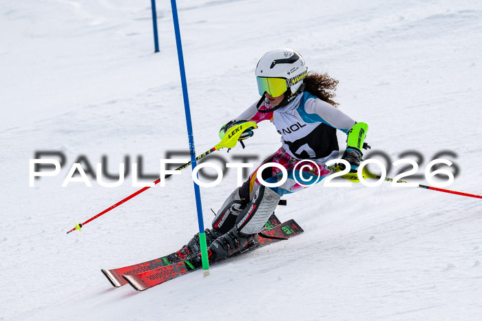 DSV - Actanol Deutscher Schülercup U12 Finale SLX 2026