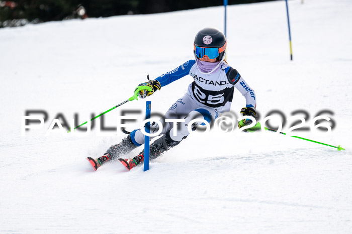 DSV - Actanol Deutscher Schülercup U12 Finale SLX 2026