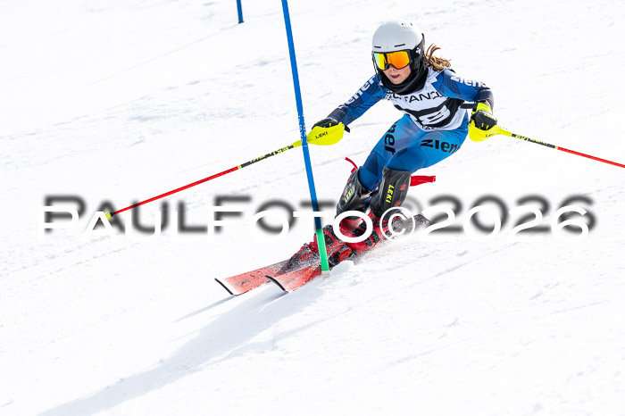 DSV - Actanol Deutscher Schülercup U12 Finale SLX 2026