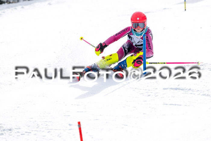 DSV - Actanol Deutscher Schülercup U12 Finale SLX 2026