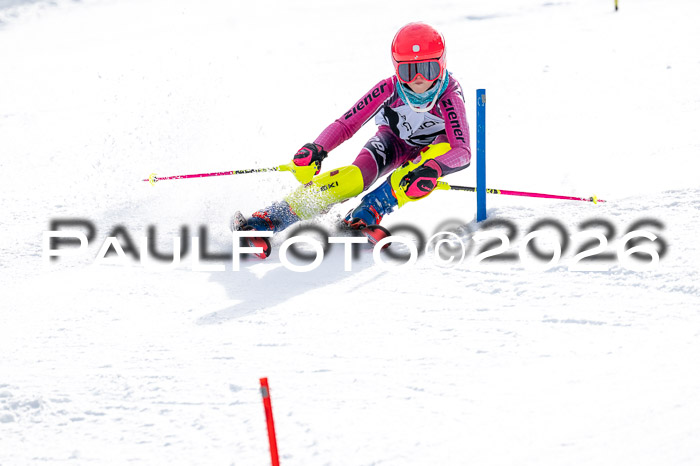 DSV - Actanol Deutscher Schülercup U12 Finale SLX 2026