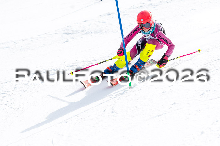 DSV - Actanol Deutscher Schülercup U12 Finale SLX 2026