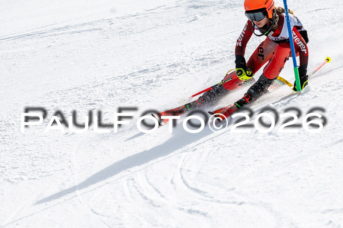 DSV - Actanol Deutscher Schülercup U12 Finale SLX 2026