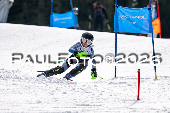 DSV - Actanol Deutscher Schülercup U12 Finale SLX 2026
