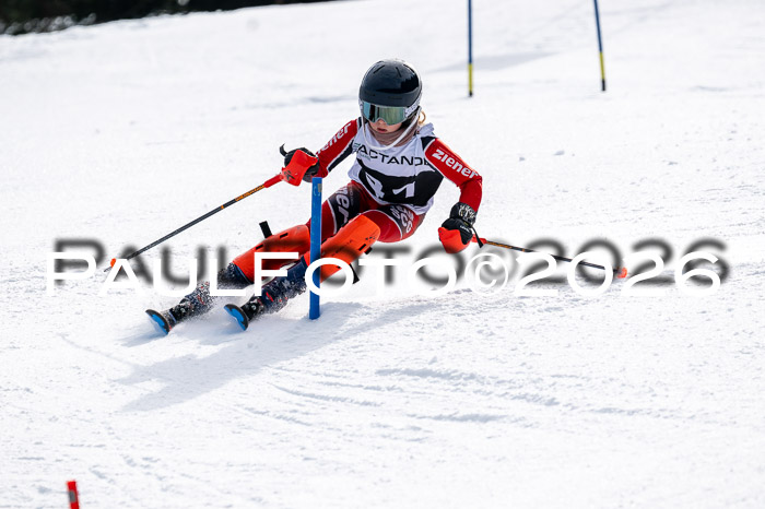 DSV - Actanol Deutscher Schülercup U12 Finale SLX 2026