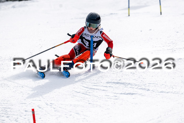 DSV - Actanol Deutscher Schülercup U12 Finale SLX 2026