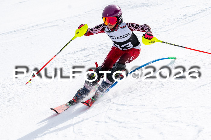 DSV - Actanol Deutscher Schülercup U12 Finale SLX 2026