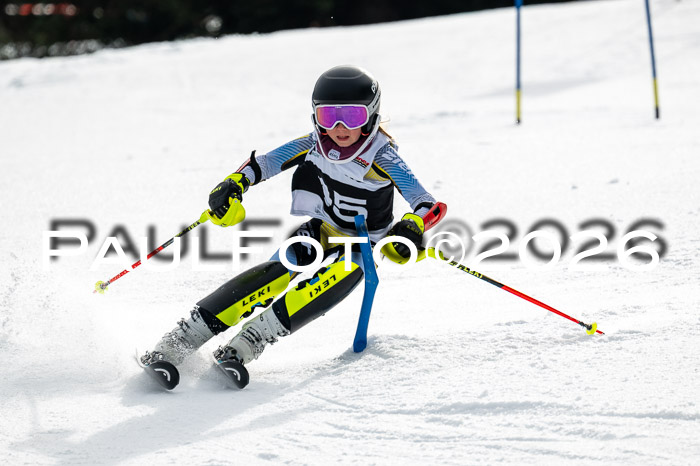 DSV - Actanol Deutscher Schülercup U12 Finale SLX 2026