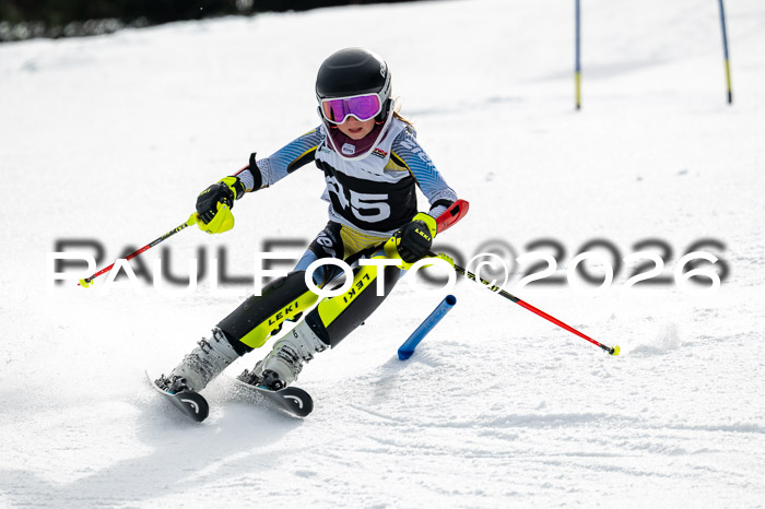 DSV - Actanol Deutscher Schülercup U12 Finale SLX 2026
