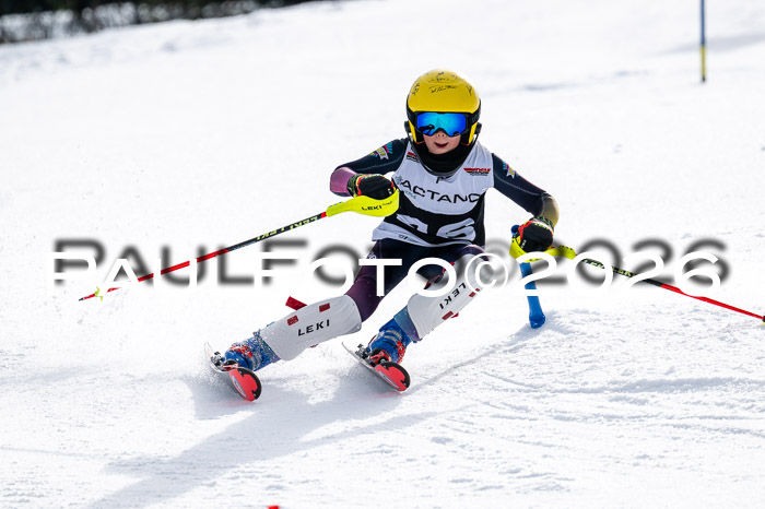 DSV - Actanol Deutscher Schülercup U12 Finale SLX 2026
