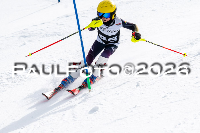 DSV - Actanol Deutscher Schülercup U12 Finale SLX 2026