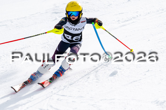 DSV - Actanol Deutscher Schülercup U12 Finale SLX 2026
