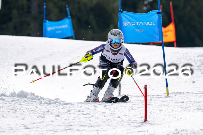 DSV - Actanol Deutscher Schülercup U12 Finale SLX 2026