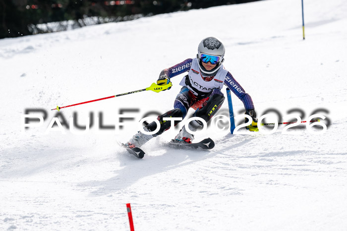 DSV - Actanol Deutscher Schülercup U12 Finale SLX 2026